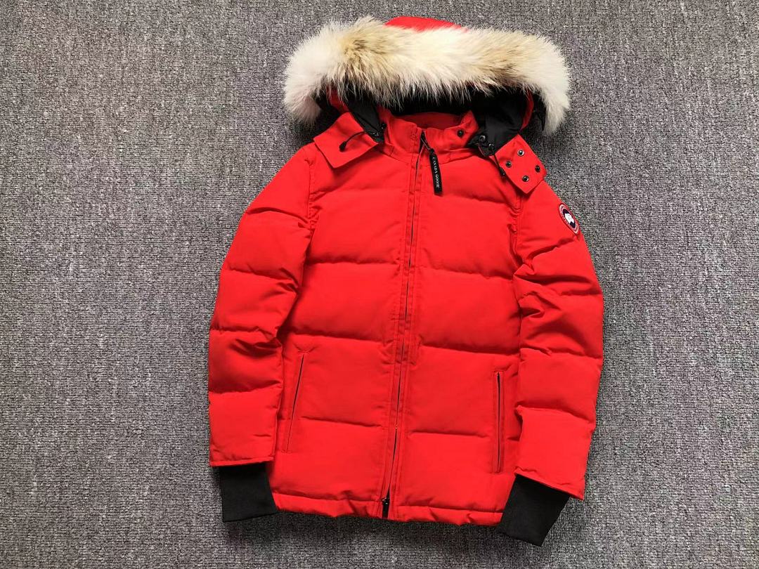 Canada Goose 568 C⭐N⭐⭐A G⭐⭐⭐E DOWN - Image 9