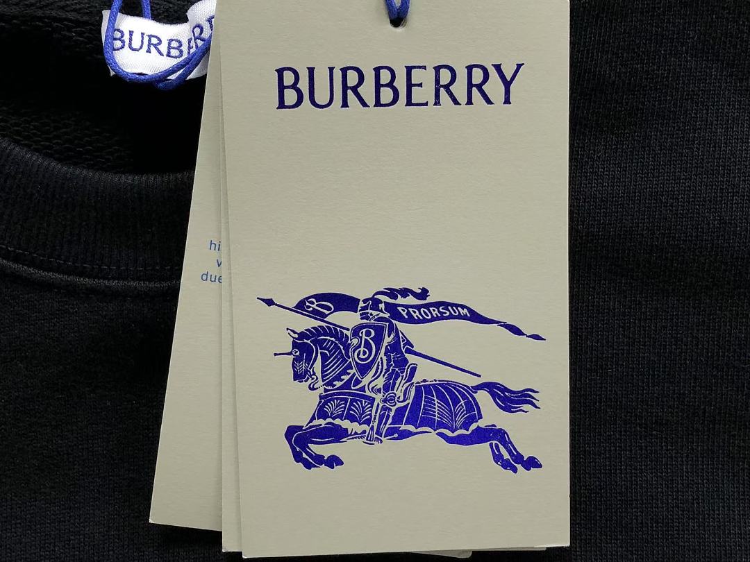 Burberry 178 B⭐R⭐E⭐RY HOODIE 3208122421 (Im 170Cm 60Kg I Wear Size M In The Phot) - Image 21