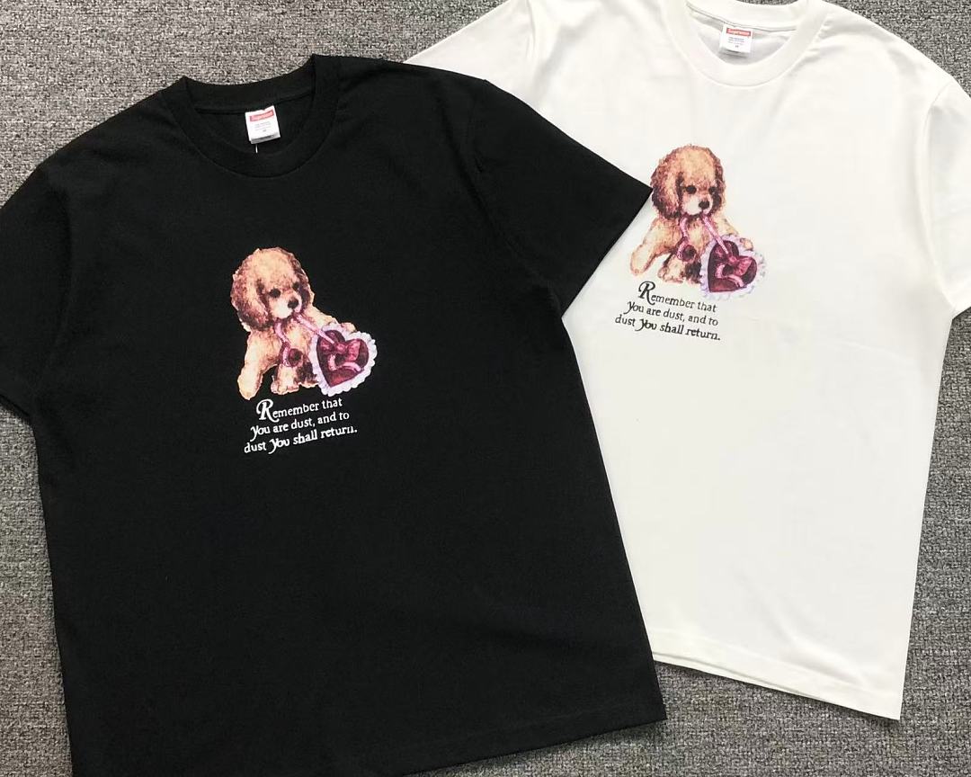 Supreme 113 S⭐⭐R⭐⭐E T-SHIRT 42080401182 (Im 170Cm 60Kg I Wear Size M In The Phot) - Image 6