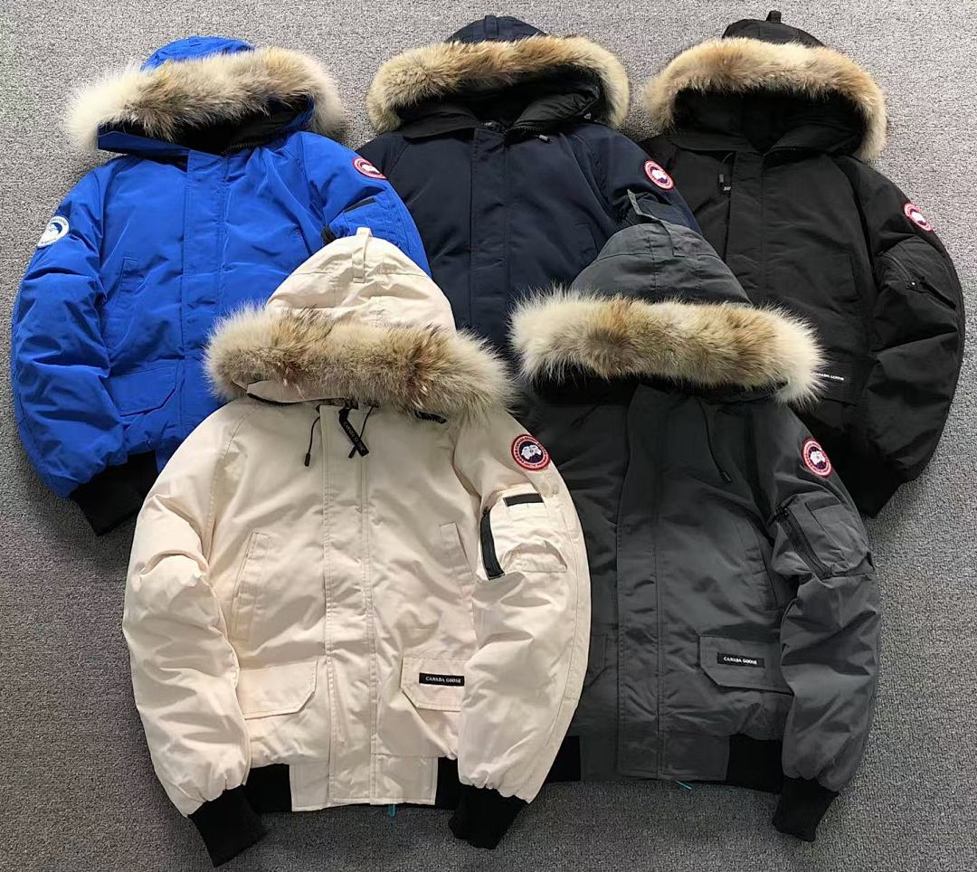 Canada Goose 538 C⭐N⭐⭐A G⭐⭐⭐E DOWN JACKETS 3111260116 (Im 170Cm 60Kg I Wear Size M In The Phot) - Image 6