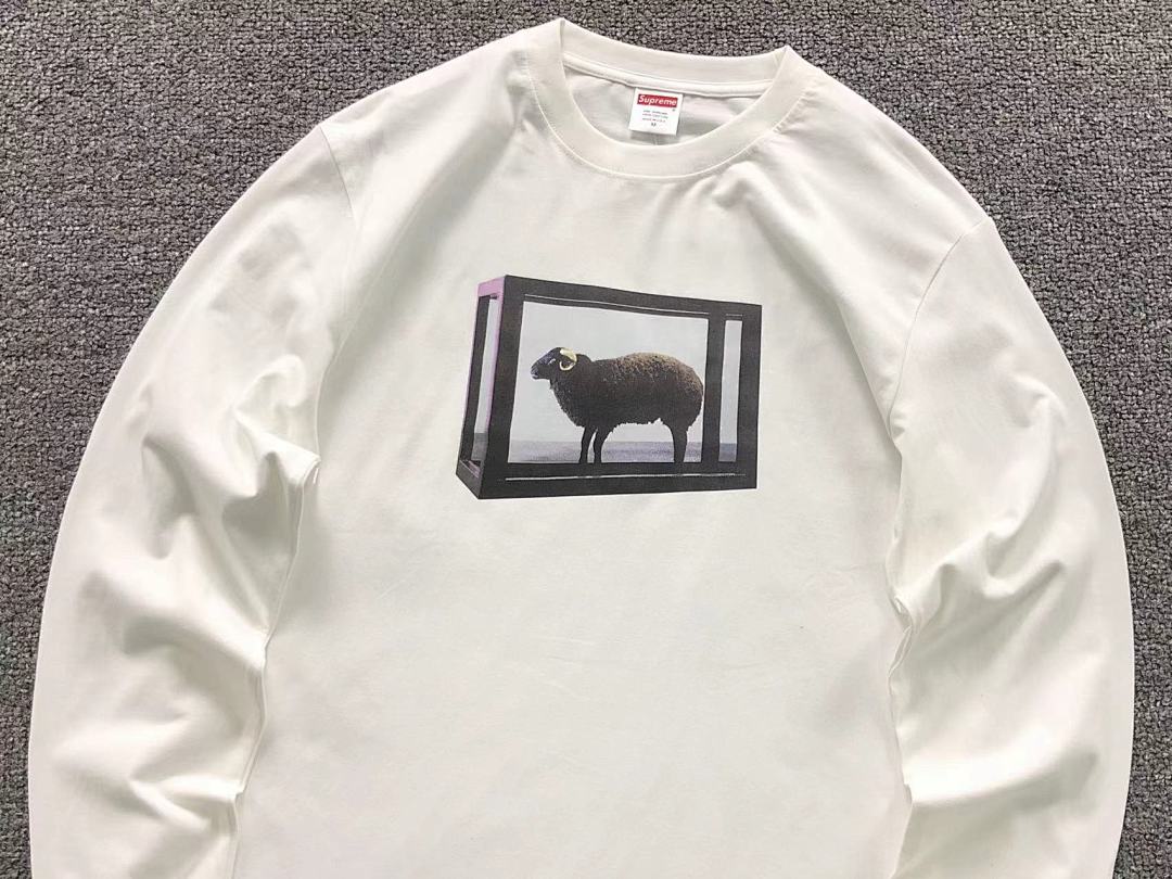 Supreme 95 S⭐⭐R⭐⭐E LONG SLEEVED 581211123 (Im 170Cm 60Kg I Wear Size M In The Phot) - Image 8