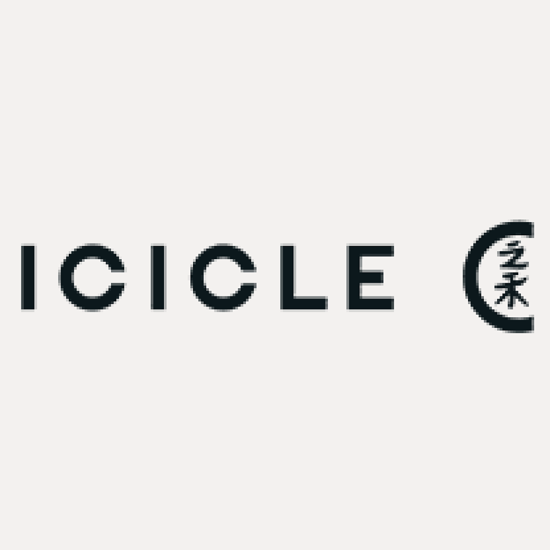 Unbranded ICI⭐⭐E