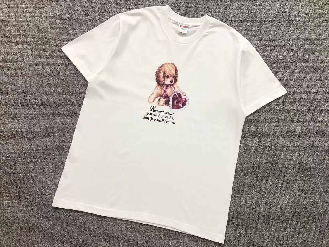 Supreme 113 S⭐⭐R⭐⭐E T-SHIRT 42080401182 (Im 170Cm 60Kg I Wear Size M In The Phot) - Image 8
