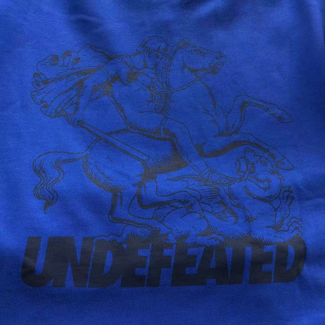 Undefeated 178 UNDEFEATED HOODIE 123903159 (Im 170Cm 60Kg I Wear Size M In The Phot) - Image 15