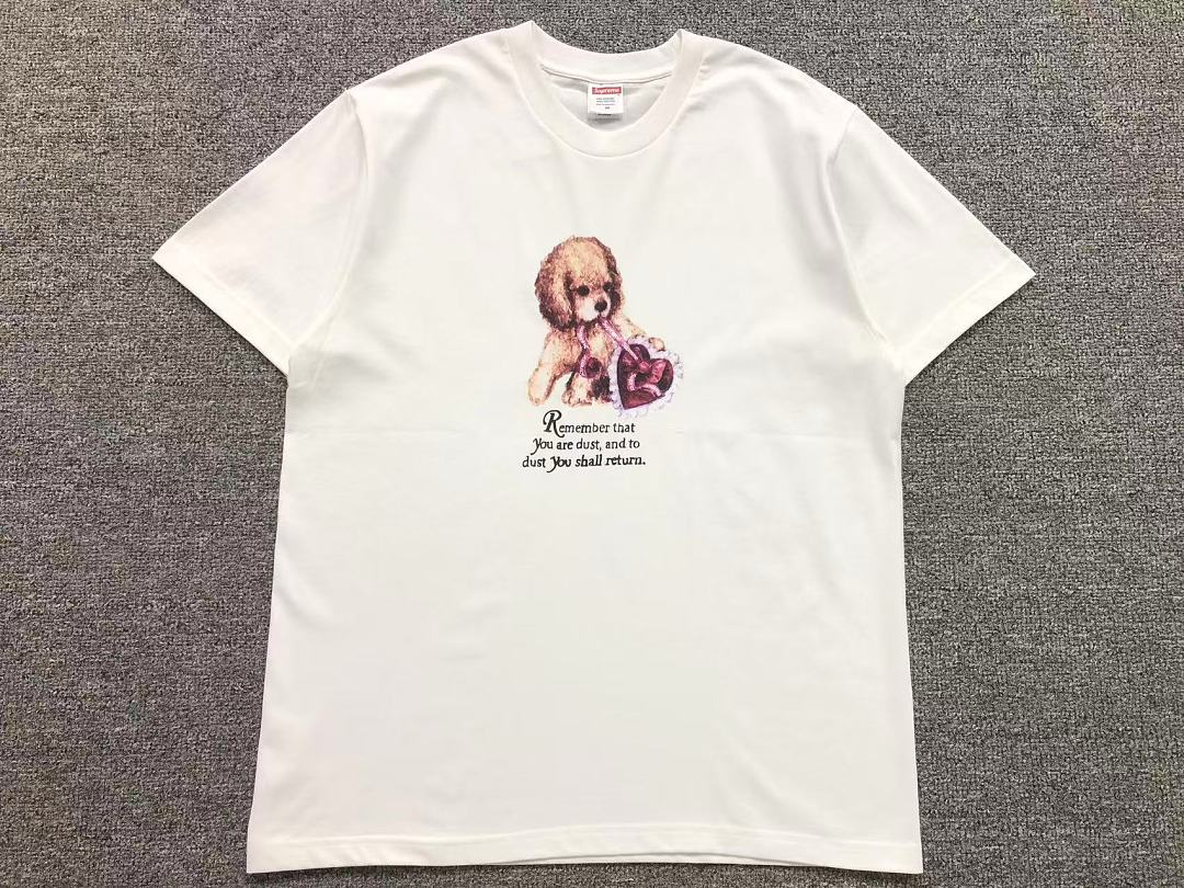 Supreme 113 S⭐⭐R⭐⭐E T-SHIRT 42080401182 (Im 170Cm 60Kg I Wear Size M In The Phot) - Image 7