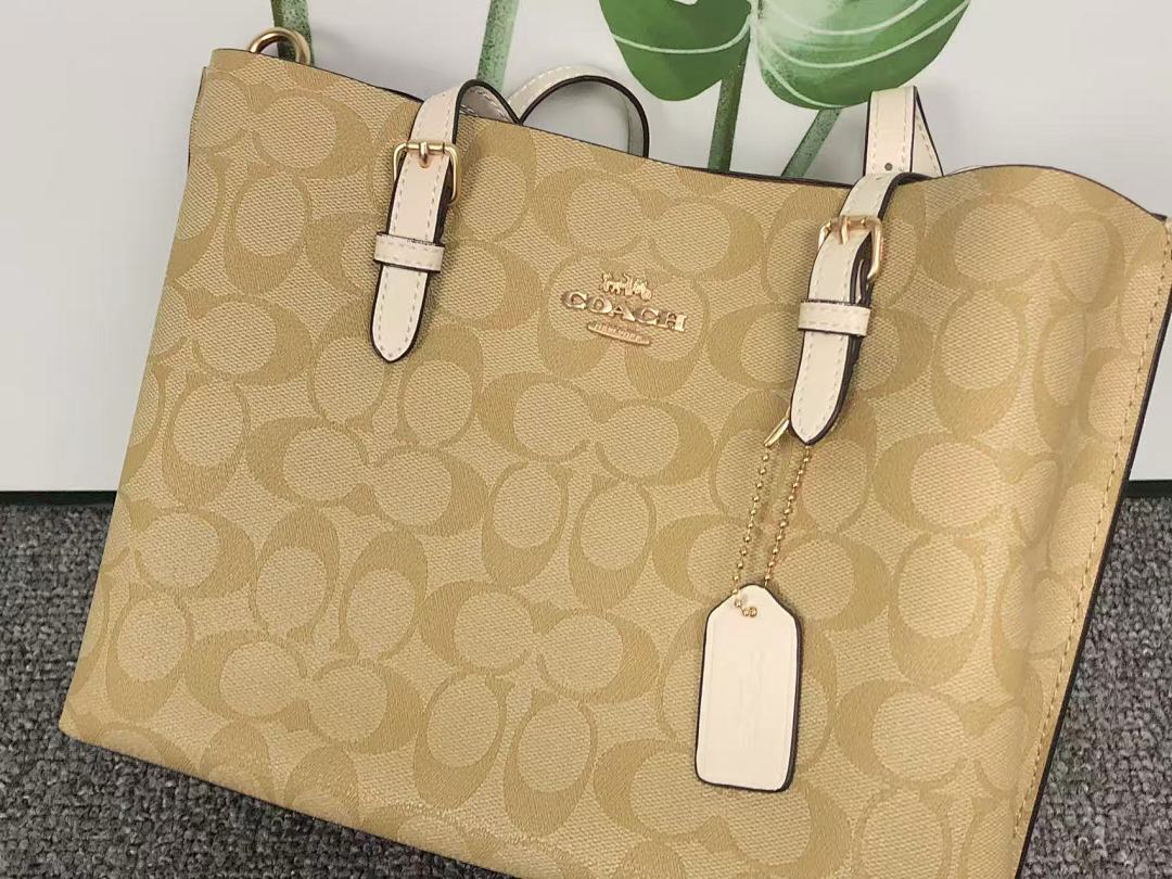 Coach 228 C⭐A⭐H BAG 4111150175 (Long 27CM* Wide 10CM*19CM) - Image 10