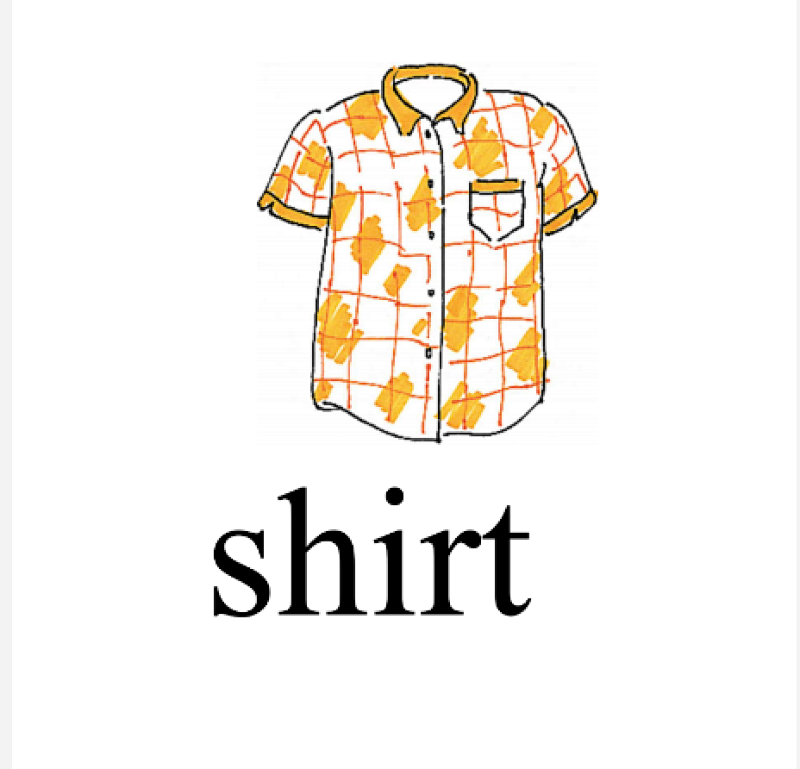 SHIRT, photo 1