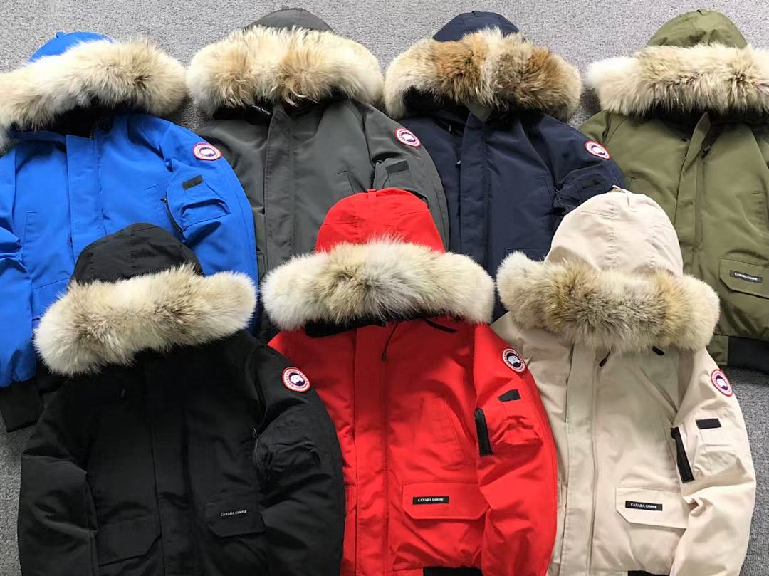 Canada Goose 498 C⭐N⭐⭐A G⭐⭐⭐E DOWN JACKETS FEMAIE - Image 4