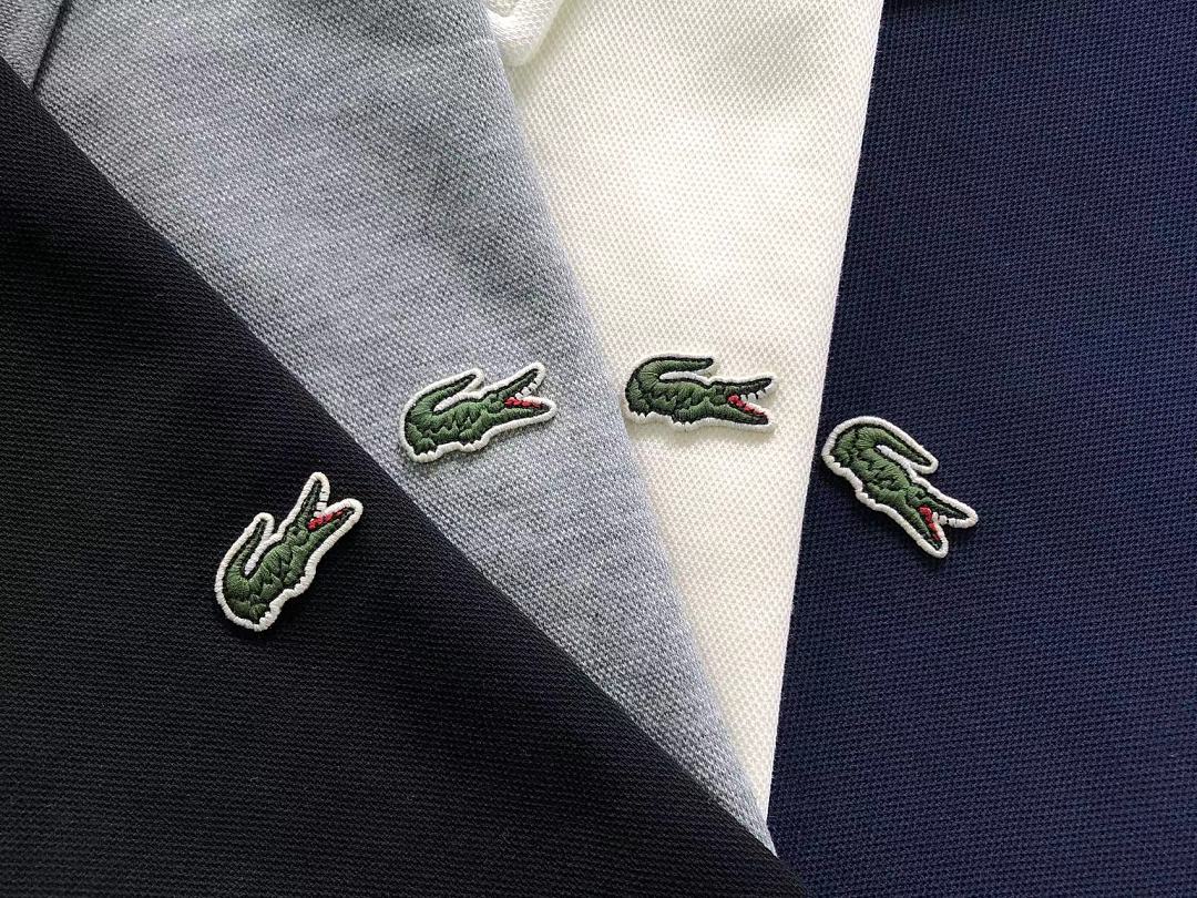Unbranded 175 LACOSTE HOODIE 4209031201 (Im 170Cm 60Kg I Wear Size XL In The Phot) - Image 16