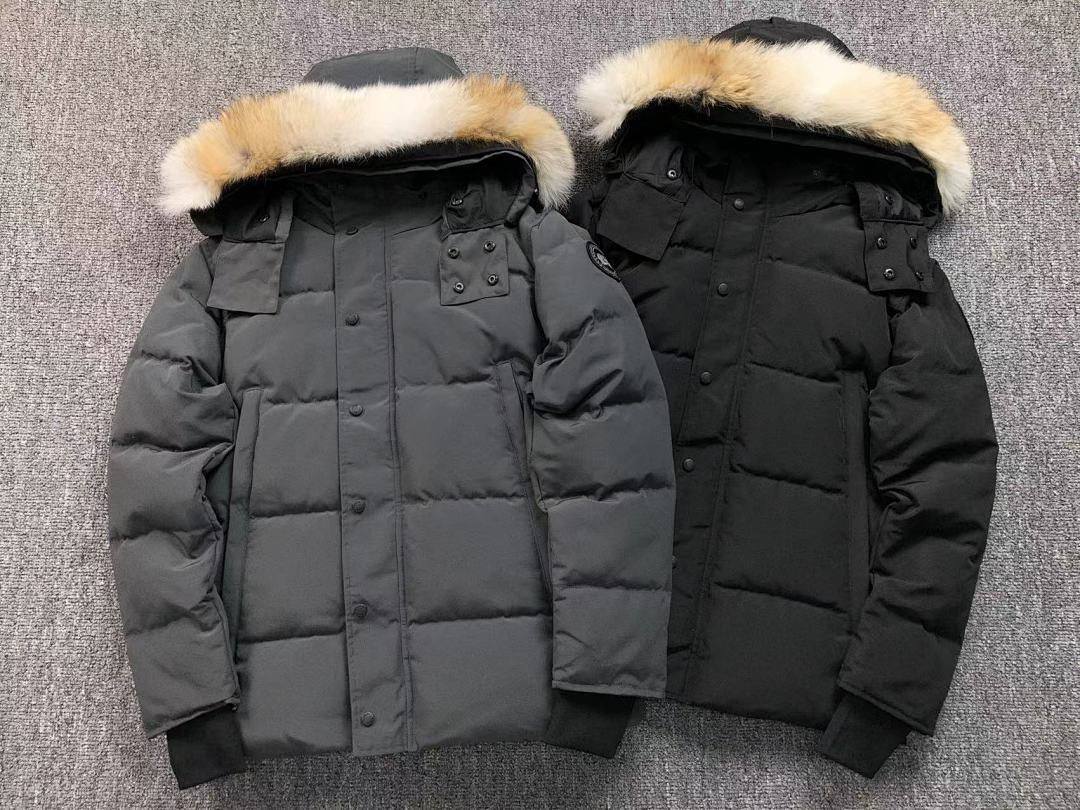 Canada Goose 568 C⭐N⭐⭐A G⭐⭐⭐E DOWN - Image 3