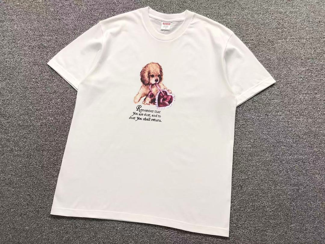 Supreme 98 S⭐⭐R⭐⭐E T-SHIRT 3205152233 (Im 170Cm 60Kg I Wear Size M In The Phot) - Image 13