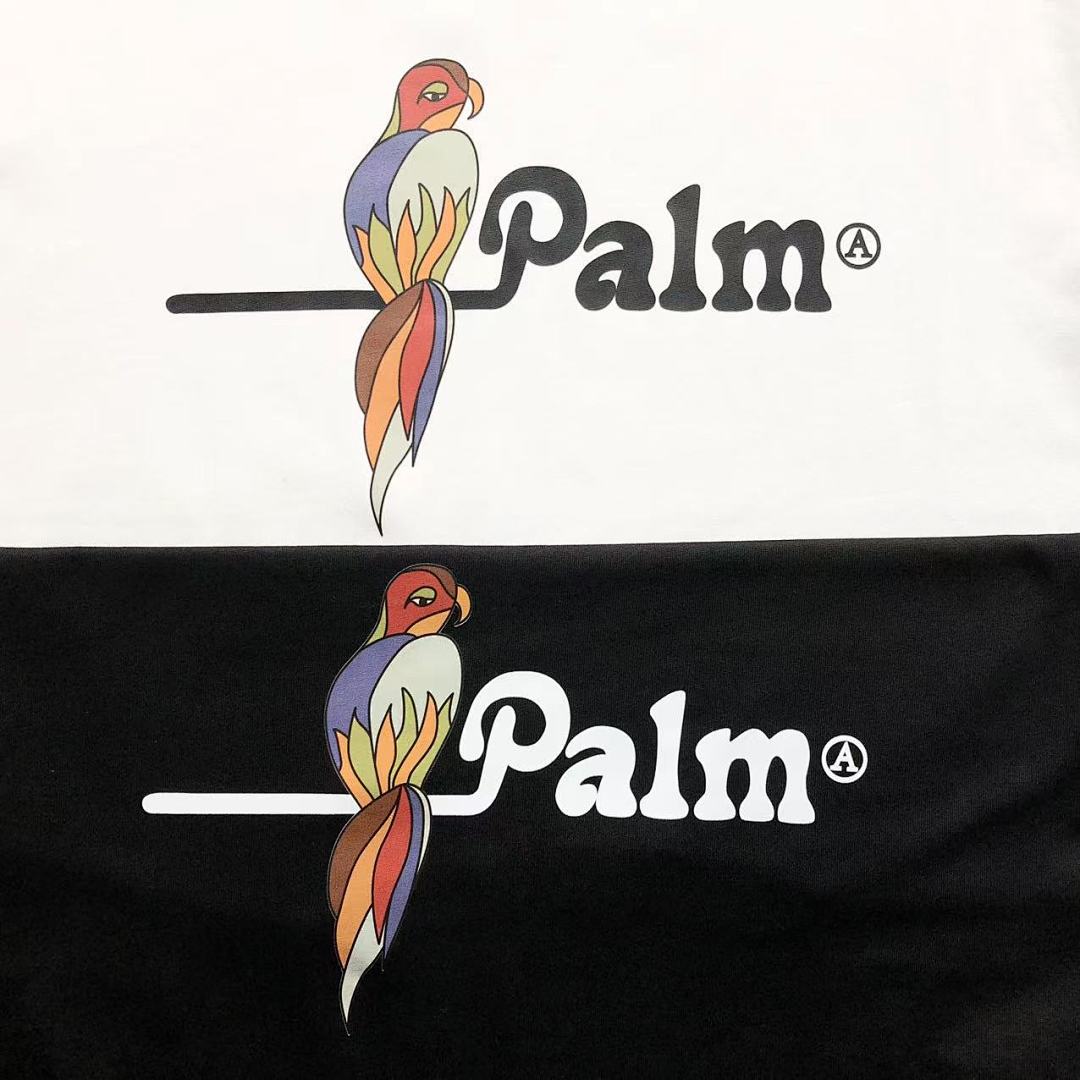 Palm Angels 78 PALM ANGELS T-SHIRT 410701121 (Im 170Cm 60Kg I Wear Size S In The Phot) - Image 12