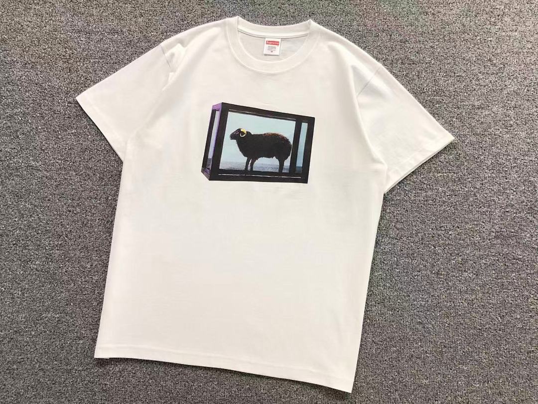 Supreme 95 S⭐⭐R⭐⭐E T-SHIRT 123122002 (Im 170Cm 60Kg I Wear Size M In The Phot) - Image 7