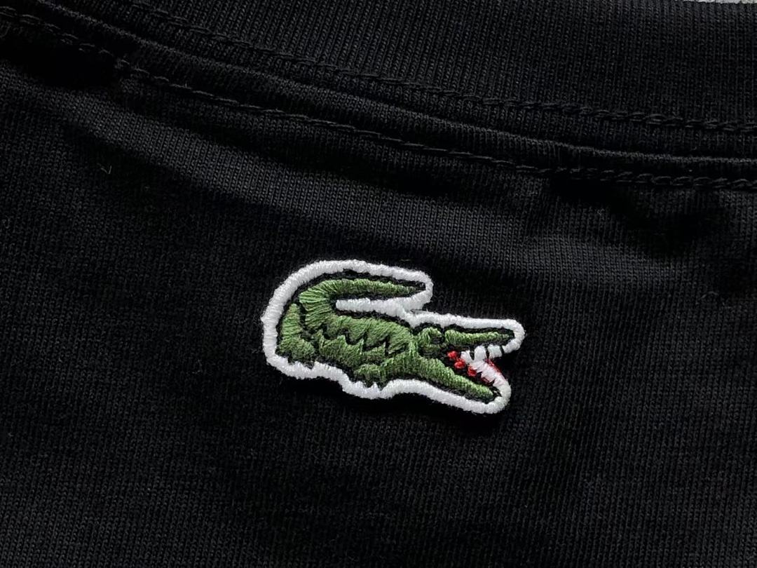 Lacoste 98 LACOSTE T-SHIRT 4204112609 (Im 170Cm 60Kg I Wear Size M In The Phot) - Image 24