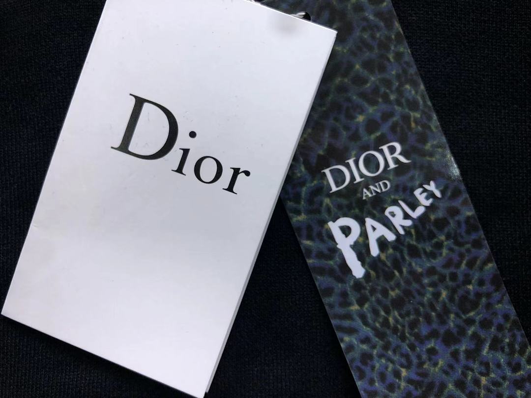 Dior 188 D⭐O⭐ HOODIE 3208191021 (Im 170Cm 60Kg I Wear Size M In The Phot) - Image 20