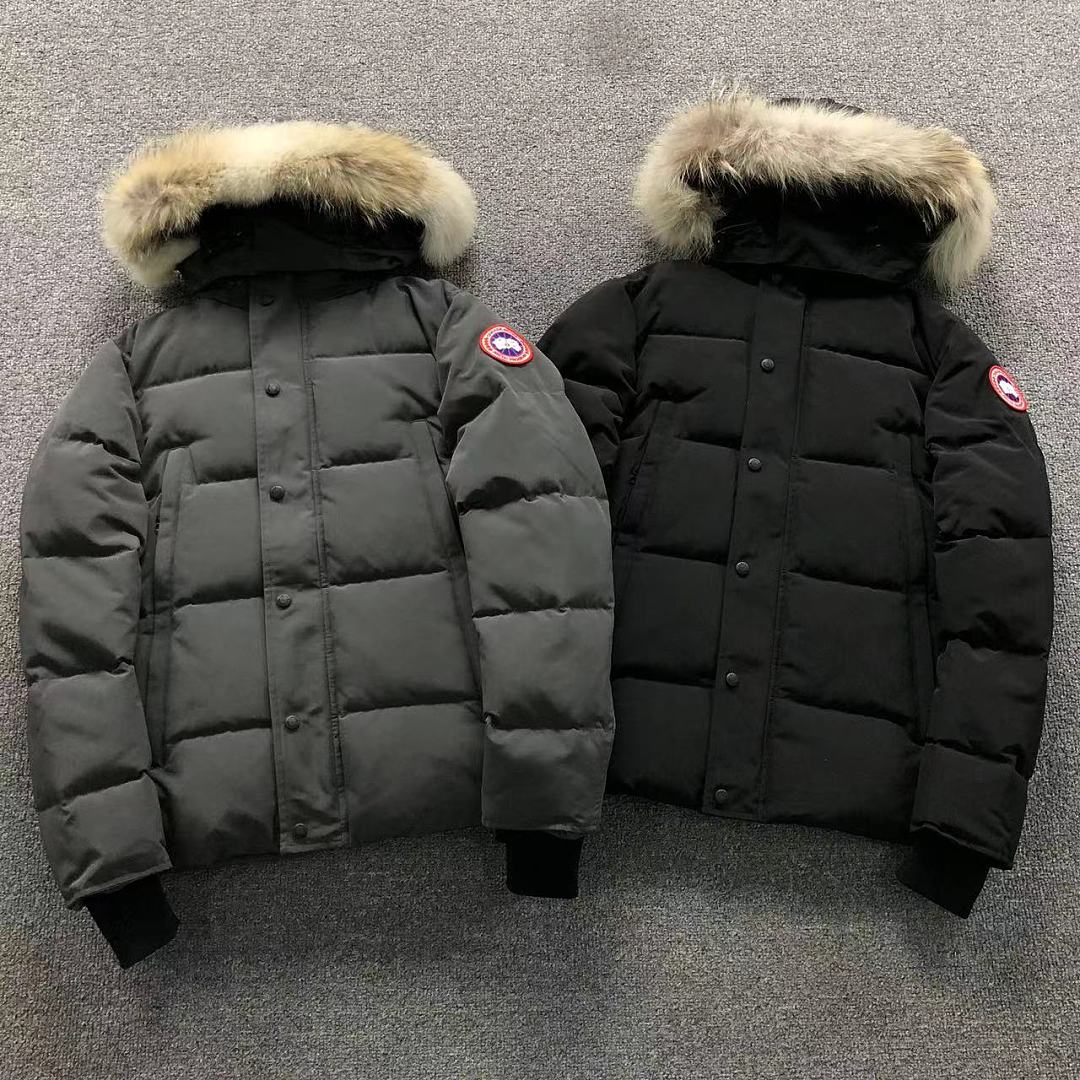 Canada Goose Canada Goose 518 C⭐N⭐⭐A G⭐⭐⭐E DOWN JACKETS 4208310877 (Im 170Cm 60Kg I Wear Size S In The Phot), photo 1
