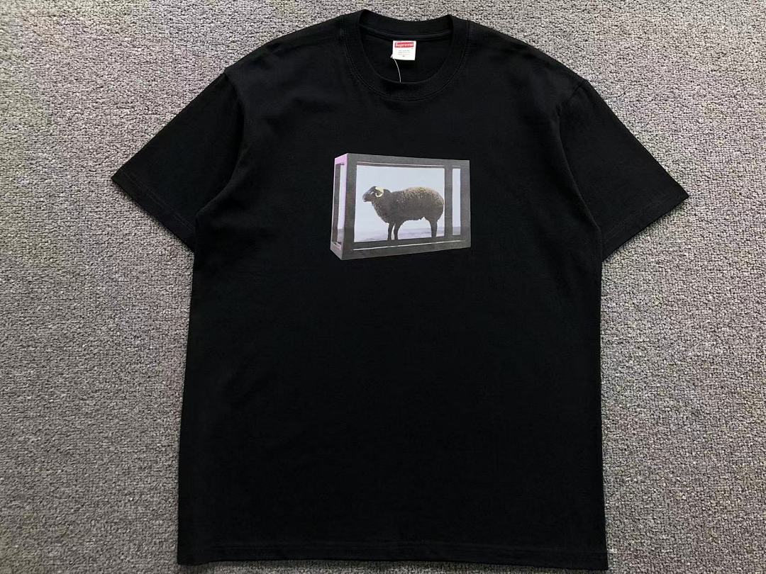 Supreme 78 S⭐⭐R⭐⭐E T-SHIRT 41061015123 (Im 170Cm 60Kg I Wear Size M In The Phot) - Image 7