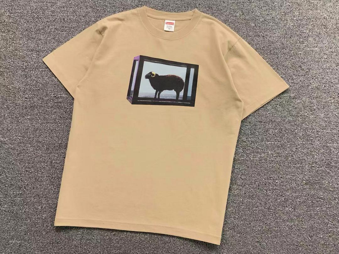 Supreme 95 S⭐⭐R⭐⭐E T-SHIRT 123122002 (Im 170Cm 60Kg I Wear Size M In The Phot) - Image 10