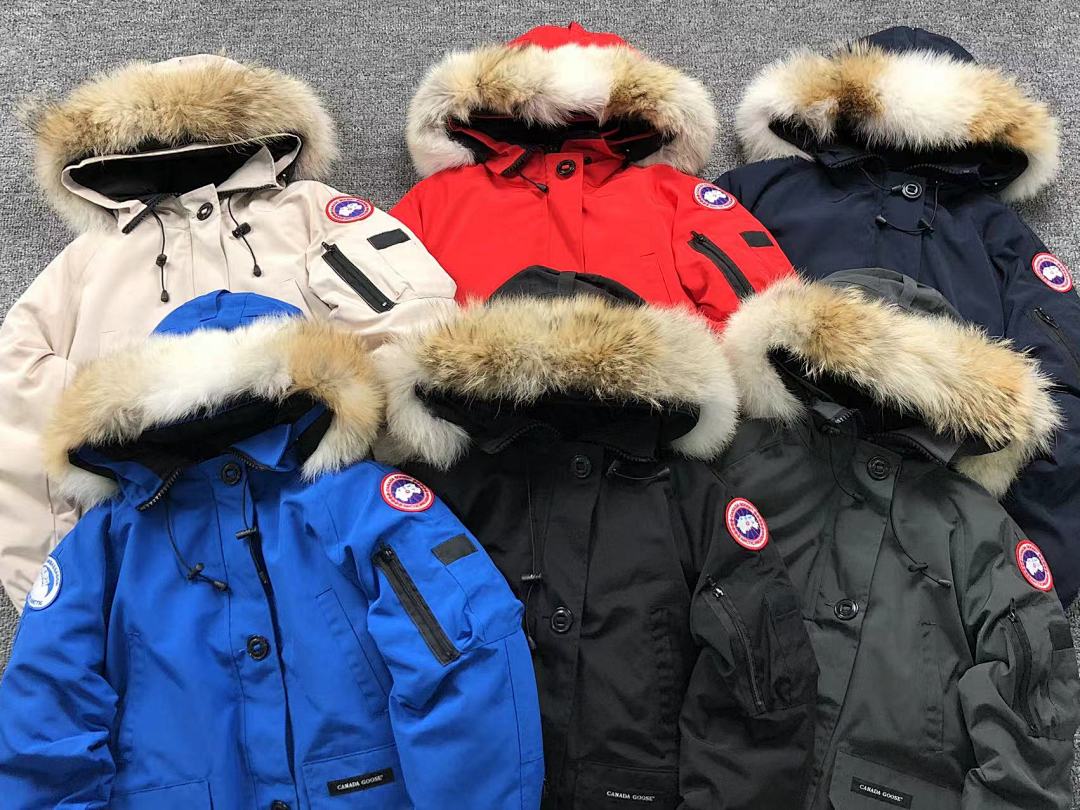 Canada Goose 498 C⭐N⭐⭐A G⭐⭐⭐E DOWN JACKETS FEMAIE - Image 5