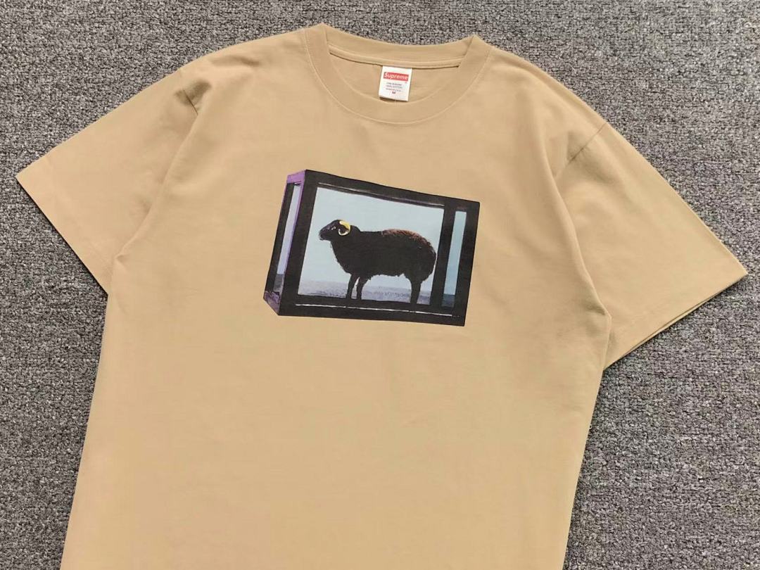 Supreme 95 S⭐⭐R⭐⭐E T-SHIRT 123122002 (Im 170Cm 60Kg I Wear Size M In The Phot) - Image 11