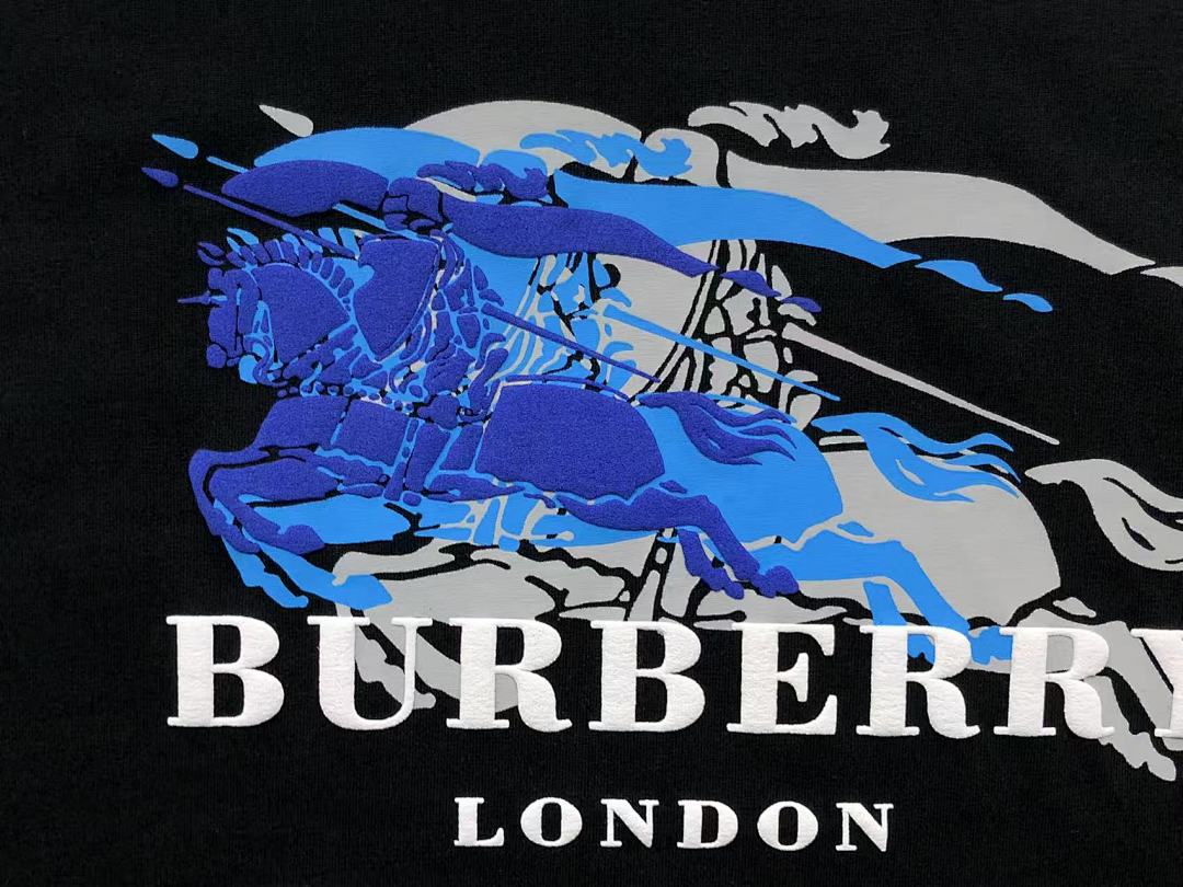 Burberry 95 B⭐R⭐E⭐RY T-SHIRT 3201190303 (Im 170Cm 60Kg I Wear Size M In The Phot) - Image 11