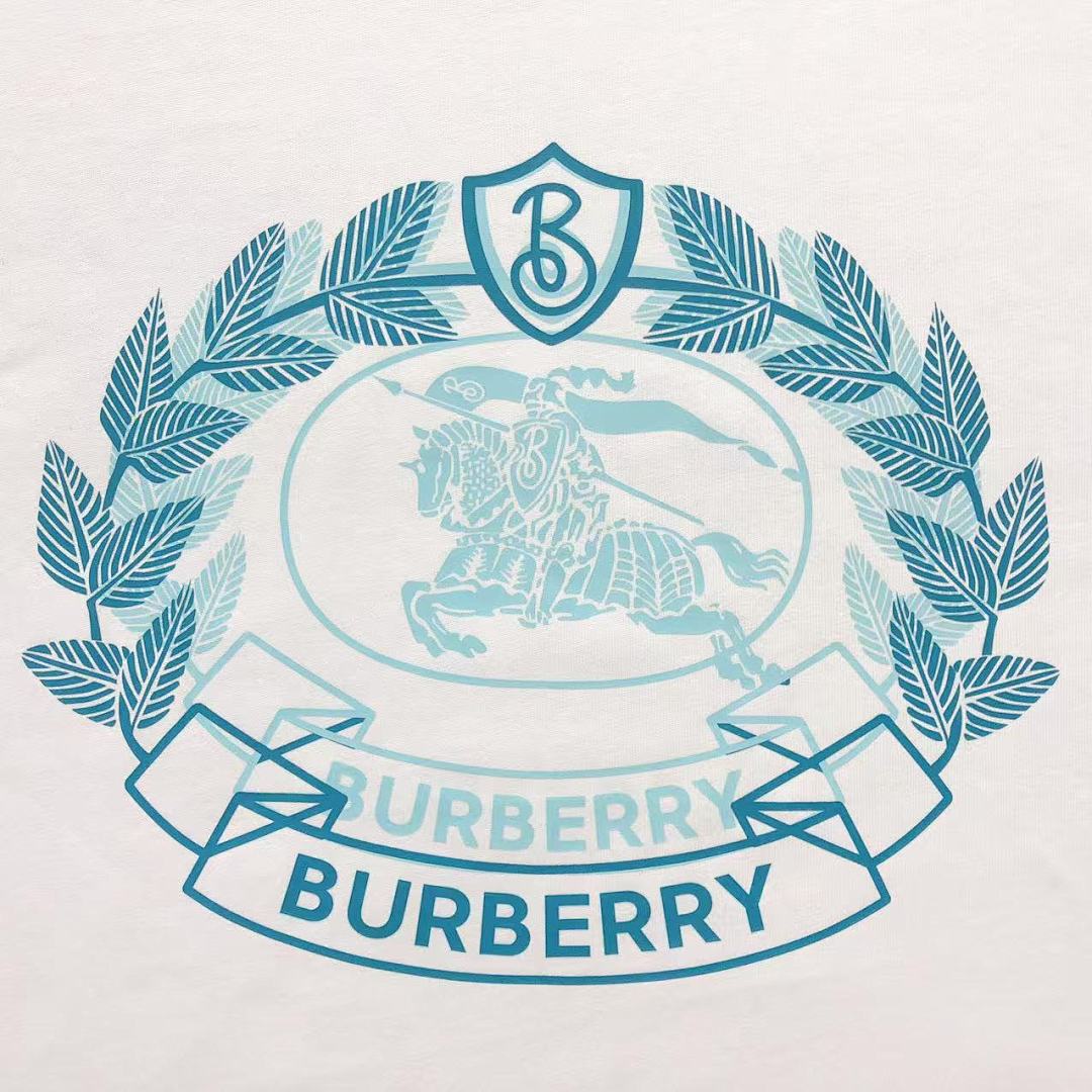 Burberry 128 B⭐R⭐E⭐RY T-SHIRT 1101162421 (Im 170Cm 57Kg I Wear Size M In The Phot) - Image 9