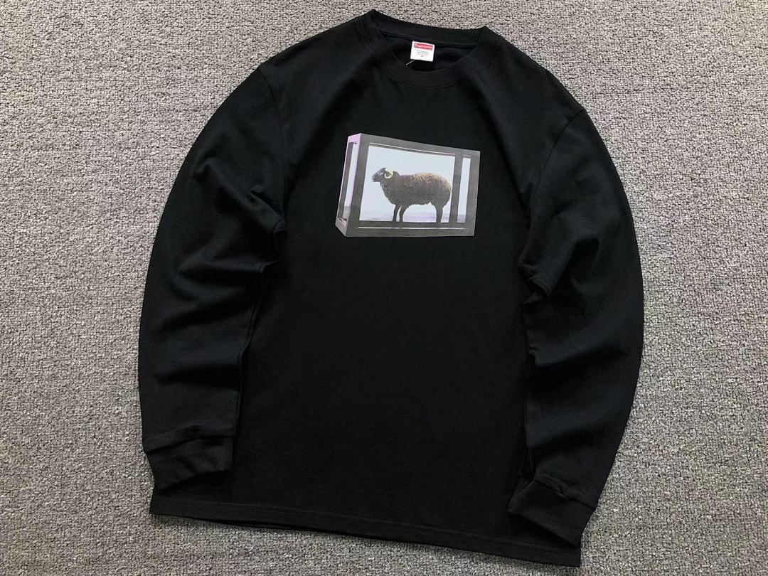 Supreme 95 S⭐⭐R⭐⭐E LONG SLEEVED 581211123 (Im 170Cm 60Kg I Wear Size M In The Phot) - Image 10