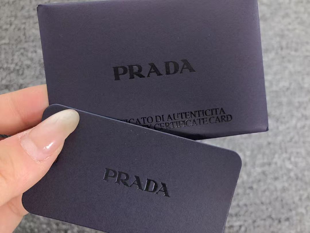 Prada 258 P⭐A⭐A BAG 4104210175 (Long 21CM* Wide 6CM*15CM) - Image 19
