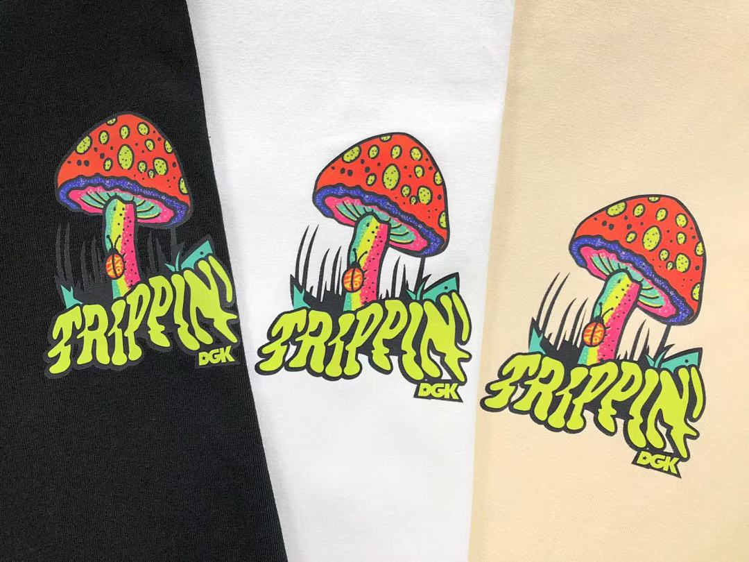 DGK 95 DGK T-SHIRT - Image 18