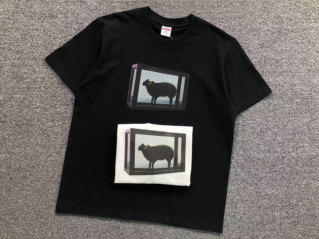 Supreme 108 S⭐⭐R⭐⭐E T-SHIRT 214174733 (Im 170Cm 60Kg I Wear Size M In The Phot) - Image 13
