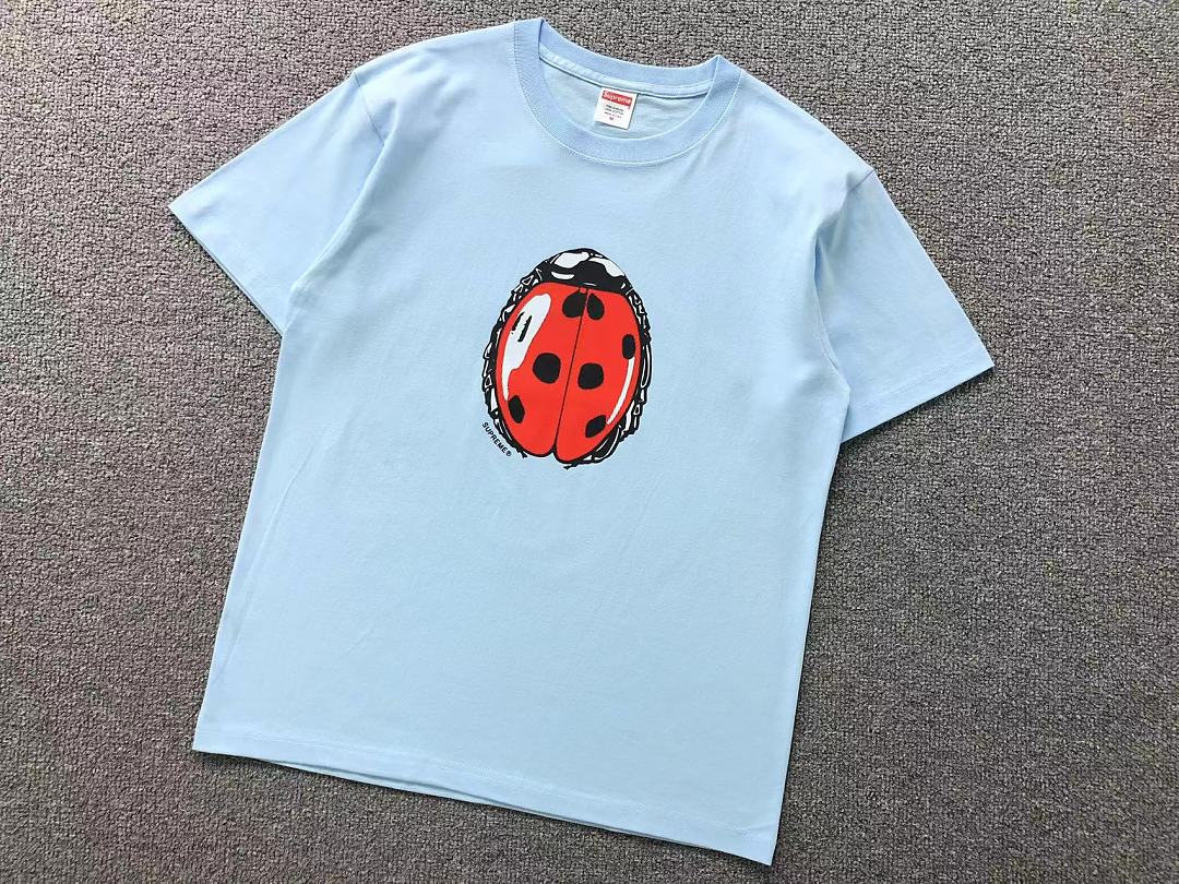 Supreme 98 S⭐⭐R⭐⭐E T-SHIRT 4207211302 (Im 170Cm 60Kg I Wear Size M In The Phot) - Image 13