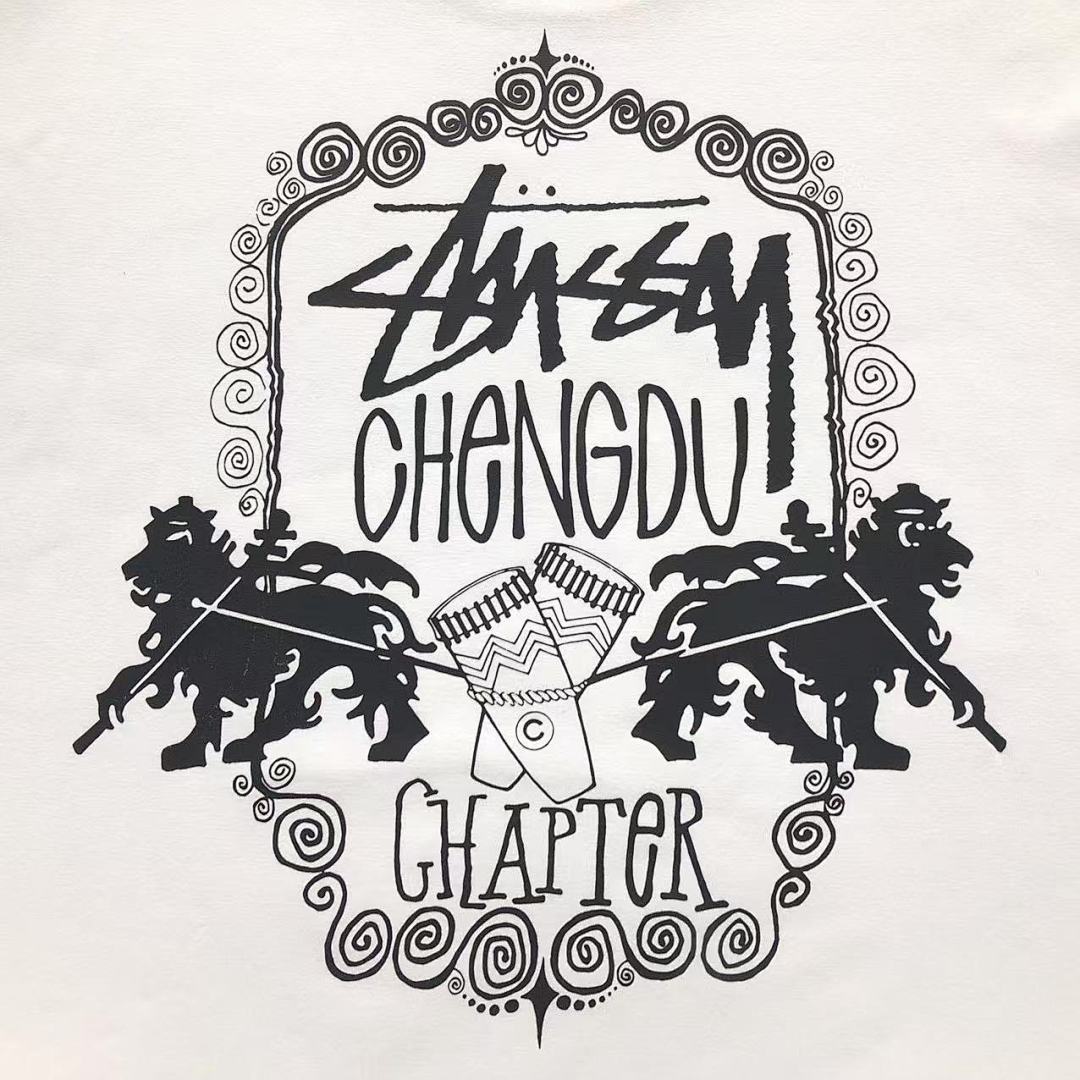 Stussy 85 STUSSY T-SHIRT 3103281231 (Im 170Cm 60Kg I Wear Size M In The Phot) - Image 15