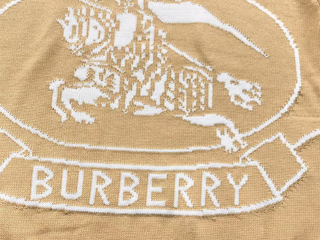 Burberry 138 B⭐R⭐E⭐RY SWEATER 11082512140 (Im 170Cm 60Kg I Wear Size L In The Phot) - Image 10