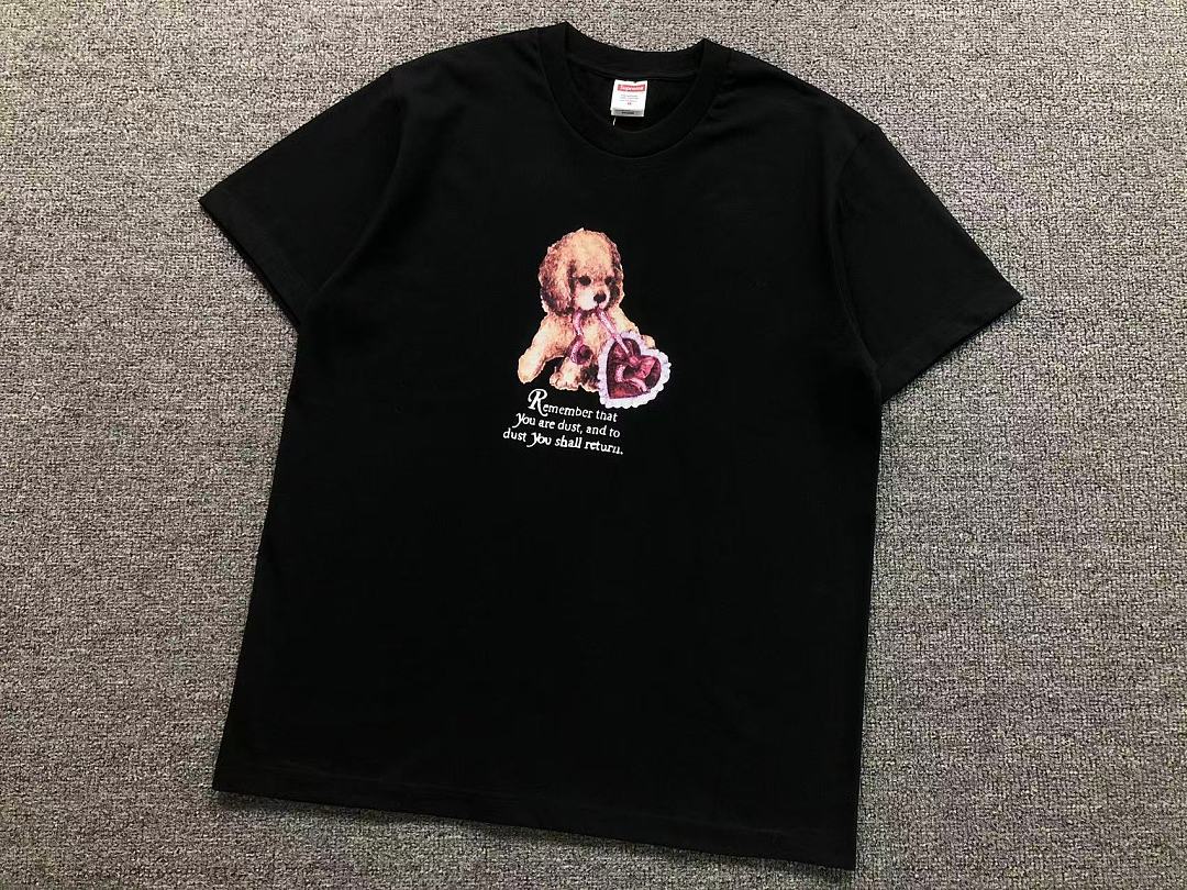Supreme 113 S⭐⭐R⭐⭐E T-SHIRT 42080401182 (Im 170Cm 60Kg I Wear Size M In The Phot) - Image 11