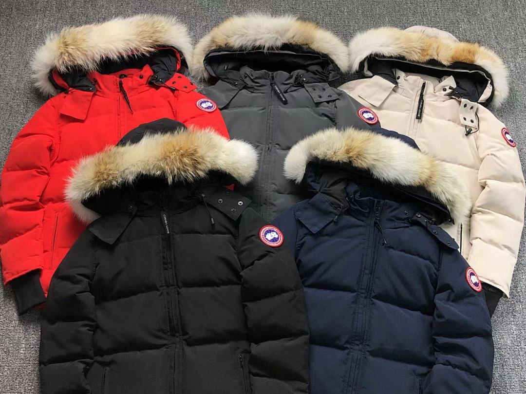 Canada Goose 568 C⭐N⭐⭐A G⭐⭐⭐E DOWN - Image 4