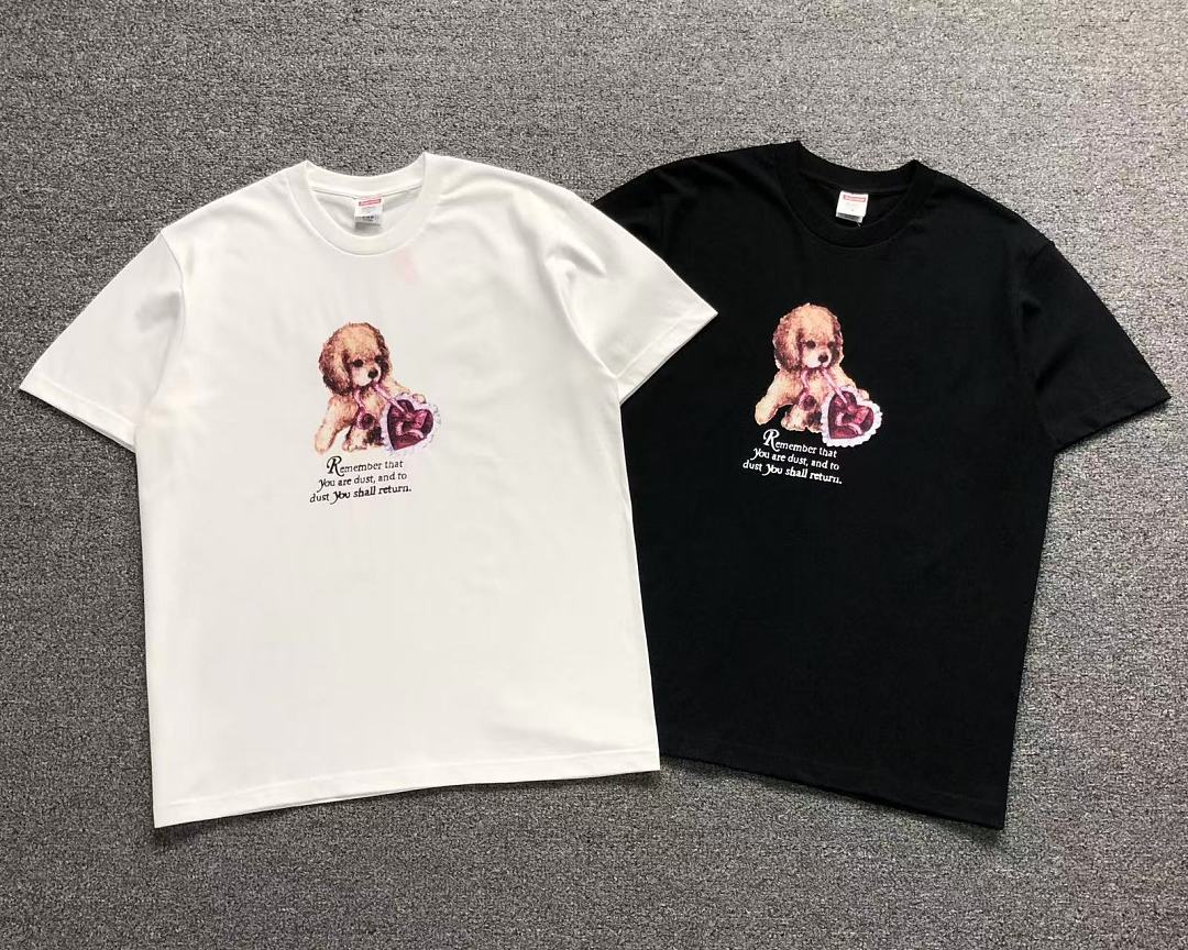 Supreme 98 S⭐⭐R⭐⭐E T-SHIRT 3205152233 (Im 170Cm 60Kg I Wear Size M In The Phot) - Image 5