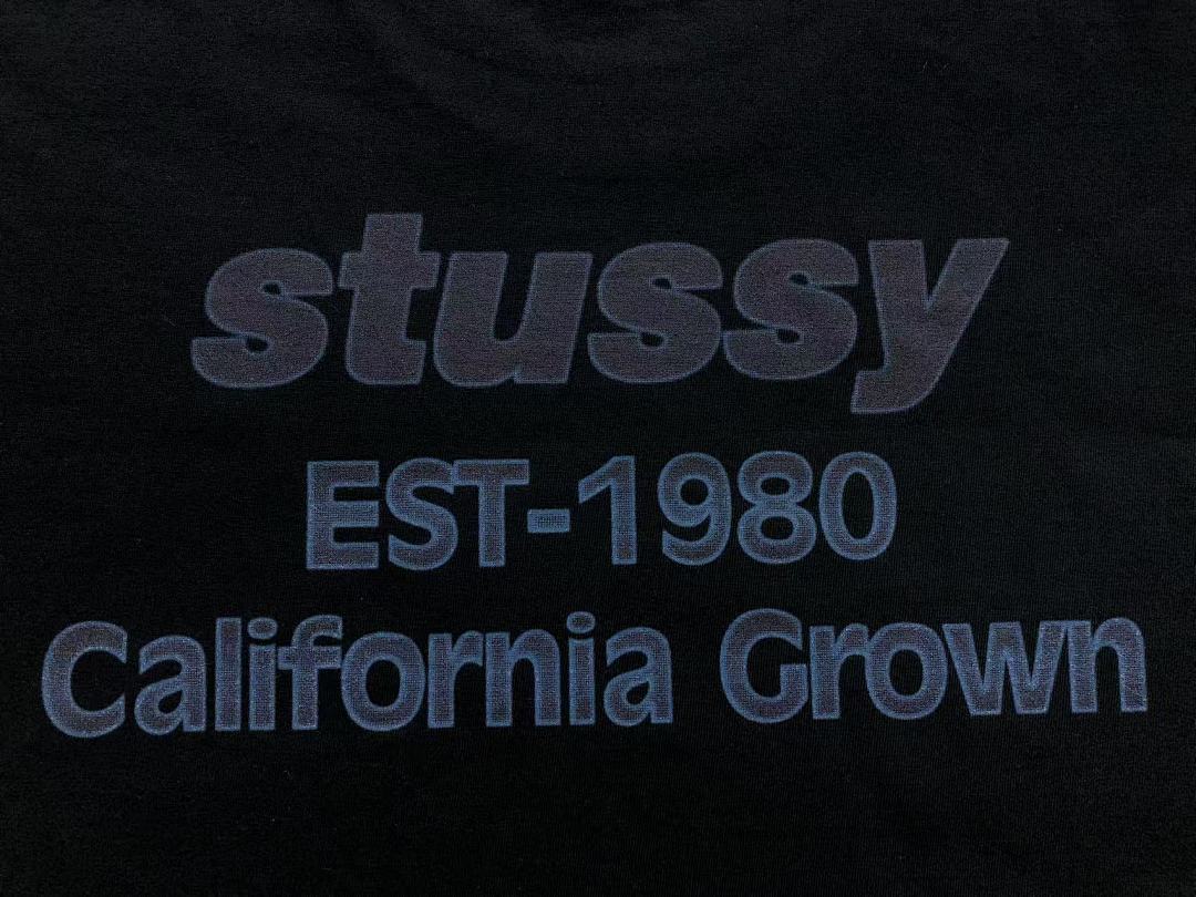 Stussy 85 STUSSY T-SHIRT 4104211902 (Im 170Cm 60Kg I Wear Size L In The Phot) - Image 16