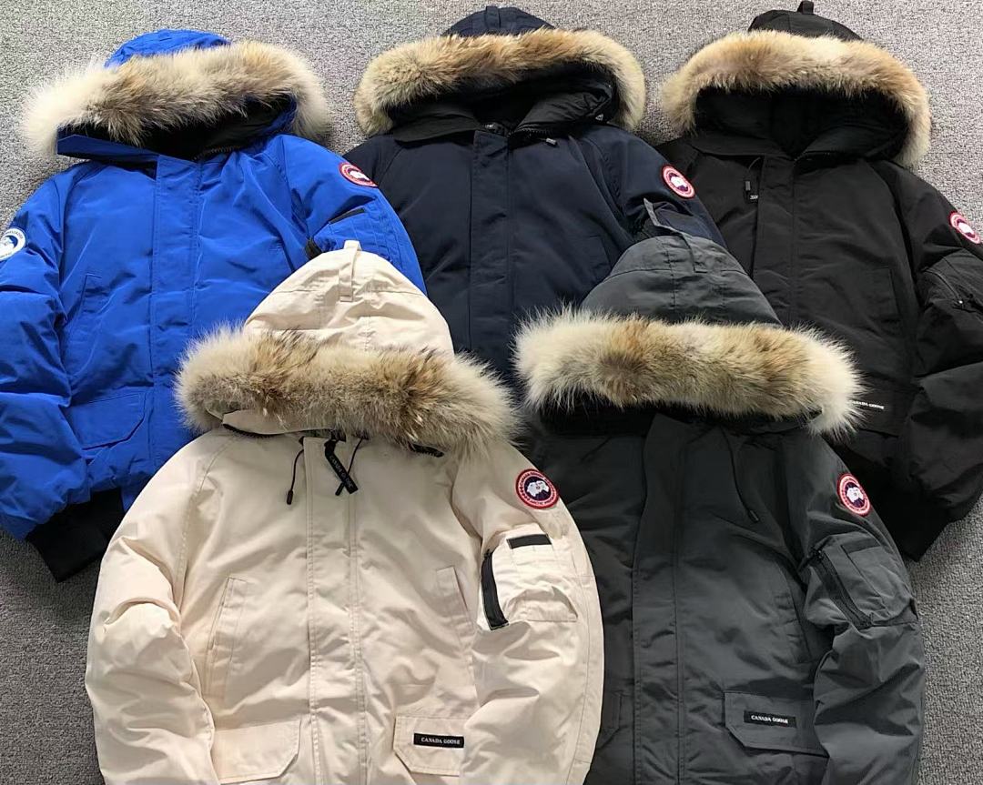 Canada Goose 538 C⭐N⭐⭐A G⭐⭐⭐E DOWN JACKETS 3111260116 (Im 170Cm 60Kg I Wear Size M In The Phot) - Image 7