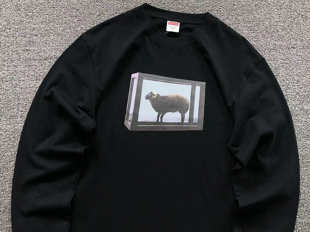 Supreme 95 S⭐⭐R⭐⭐E LONG SLEEVED 581211123 (Im 170Cm 60Kg I Wear Size M In The Phot) - Image 11