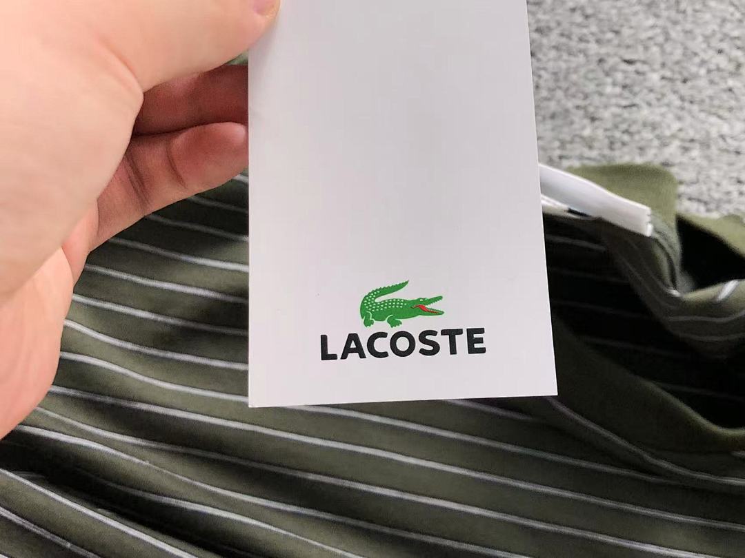 Lacoste 115 LACOSTE T-SHIRT 2204083104 (Im 170Cm 60Kg I Wear Size XL In The Phot) - Image 12