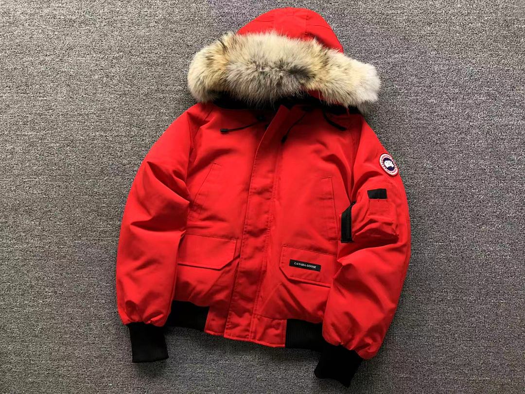 Canada Goose 498 C⭐N⭐⭐A G⭐⭐⭐E DOWN JACKETS FEMAIE - Image 5