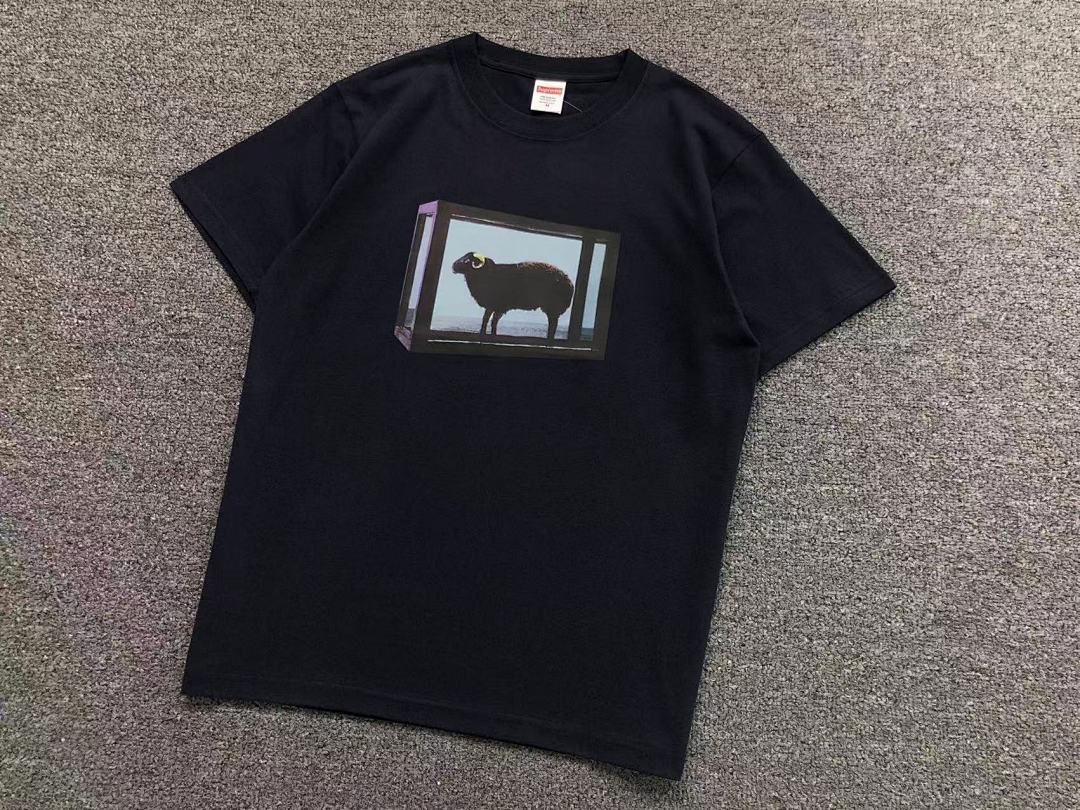 Supreme 95 S⭐⭐R⭐⭐E T-SHIRT 123122002 (Im 170Cm 60Kg I Wear Size M In The Phot) - Image 16