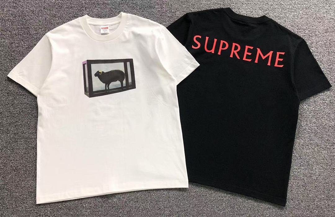 Supreme 108 S⭐⭐R⭐⭐E T-SHIRT 214174733 (Im 170Cm 60Kg I Wear Size M In The Phot) - Image 5