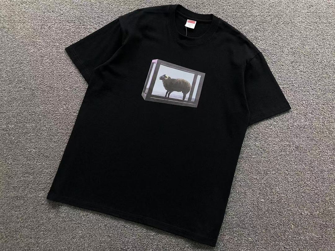 Supreme 78 S⭐⭐R⭐⭐E T-SHIRT 41061015123 (Im 170Cm 60Kg I Wear Size M In The Phot) - Image 8