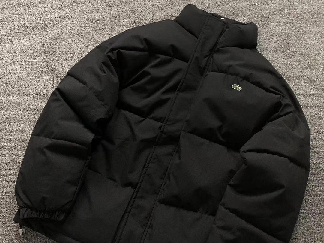 Lacoste 288 LACOSTE COTTON CIOTHES 21103066001 (Im 170Cm 60Kg I Wear Size M In The Phot) - Image 15