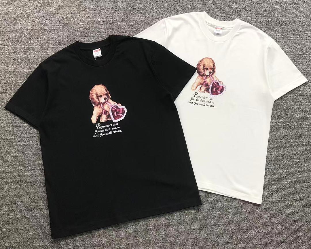 Supreme 113 S⭐⭐R⭐⭐E T-SHIRT 42080401182 (Im 170Cm 60Kg I Wear Size M In The Phot) - Image 5