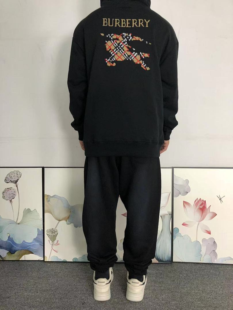 Burberry 185 B⭐R⭐E⭐RY HOODIE 3111051719 (Im 170Cm 60Kg I Wear Size S In The Phot) - Image 4