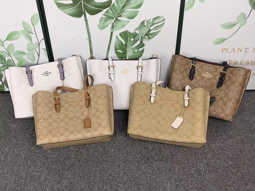 Coach 228 C⭐A⭐H BAG 4111150175 (Long 27CM* Wide 10CM*19CM) - Image 3
