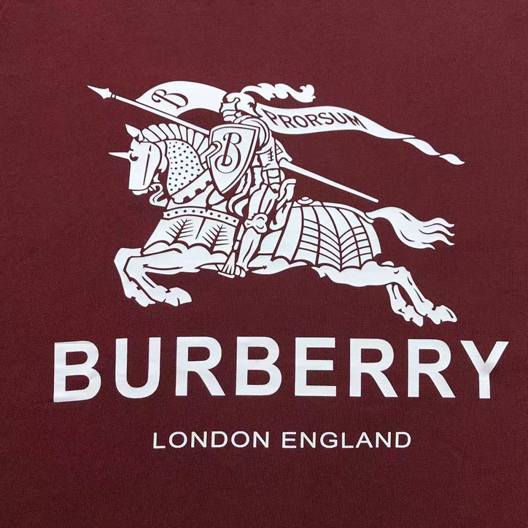 Burberry 98 B⭐R⭐E⭐RY T-SHIRT 41072415133 (Im 170Cm 60Kg I Wear Size L In The Phot) - Image 12
