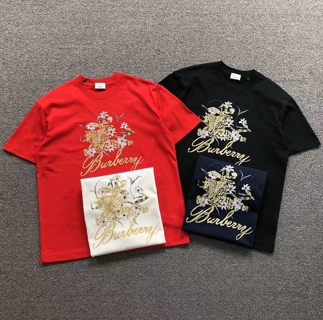 Burberry 115 B⭐R⭐E⭐RY T-SHIRT 3201312121 (Im 170Cm 60Kg I Wear Size M In The Phot), photo 1